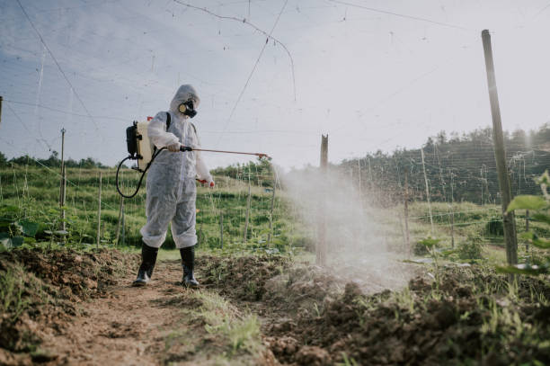 Best Pest Prevention Services  in Winfield, MO
