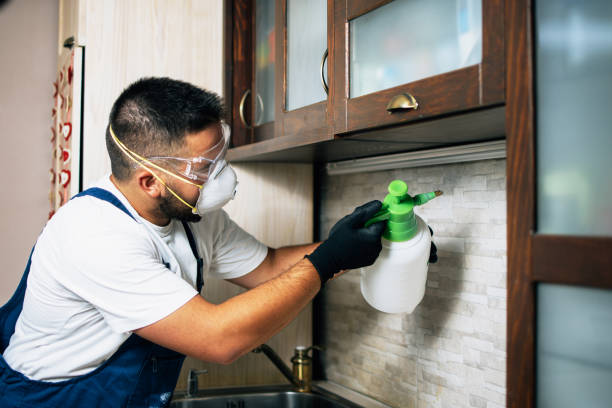Pest Control for Restaurants in Winfield, MO