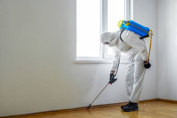 Best Rat Extermination Near Me  in Winfield, MO