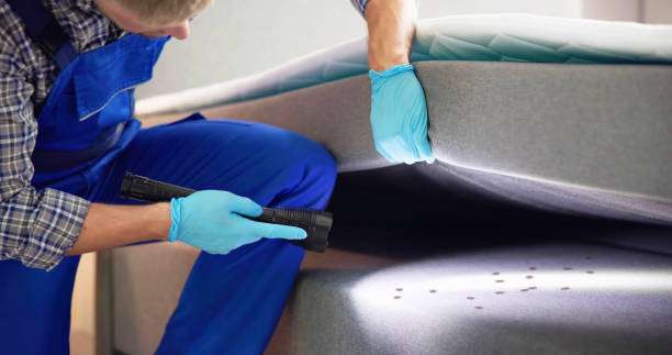 Best Cockroach Control Services  in Winfield, MO
