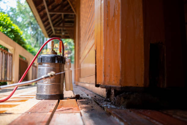 Best Pest Removal Services  in Winfield, MO