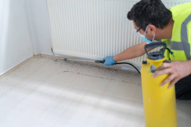 Best Affordable Pest Control Services  in Winfield, MO