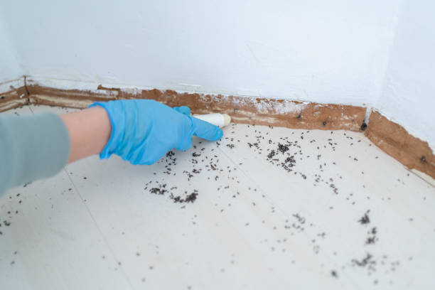 Best Pest Inspection Near Me  in Winfield, MO
